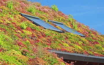 Bednall Head living roof systems