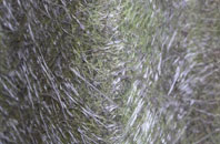 Bednall Head fibreglass roof work